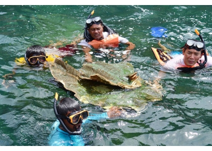 2017–05-24  泰国春蓬千年珊瑚被盗